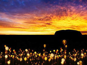 Australie - Ayers Rock - Excursion Field of Light Bruce Munro 2016 © Mark Pickthall