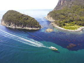 Australie - Pennicott Journeys - Bruny Island © Joe Shemesh