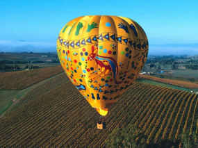 Australie - Yarra Valley - Survol de la Yarra Valley en montgolfière © Global Ballooning
