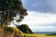 Australie - Lord Howe Island - Arajilla Lodge - golf