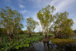 Australie - Northern Territory - Parc national de Kakadu - Yellow Water © Peter Eve