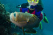 Australie - Queensland - Cairns - Croisière plongée Deep Sea Divers Den 