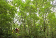 Australie - Queensland - Atherton Tablelands - The Canopy Rainforest Treehouses