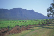 Australie - Circuit La routes des vins australiens - Hunter Valley © Destination NSW