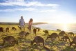 Australie - Circuit Magique Australie - Kangaroo Island  © SATC
