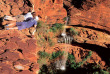 Australie - Circuit Le Best of de l'Australie - Kings Canyon © Tourism Australia