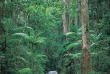 Australie - Fraser Island © Tourism Queensland
