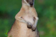 Australie - Kakadu National Park - Bamurru Plains