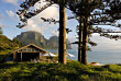 Australie - Lord Howe Island - Pinetrees Lodge