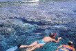 Australie - Cairns - Croisière Reef Encounter - Snorkeling