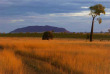Australie - Queensland - Rockampton - Myella Farmstay