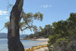 Australie - Tasmanie - Freycinet National Park © Tourism Tasmania, Ka