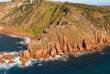 Australie - Victoria - Phillip Island - Wildlife Coast Cruises - Croisière observation des dauphins et des baleines à Phillip Island © Visit Victoria