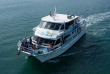 Australie - Victoria - Phillip Island - Wildlife Coast Cruises - Croisière observation des dauphins et des baleines à Phillip Island
