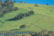 Australie - Western Australia - La région viticole de Margaret River et Wave Rock © Tourism Western Australia