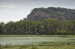 Australie - Northern Territory - Safari Kakadu, Arhemland, Katherine, Litchfield © Peter Eve
