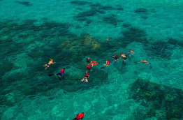 Australie - Cairns - Excursion Ocean Freedom