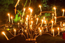 Australie - Cairns - Dîner d'exception et soirée culturelle Flames in the Forest