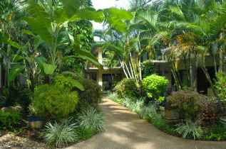 Australie - Cairns - Bay Village Tropical Retreat - Jardins