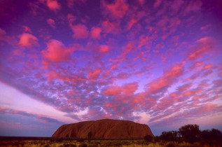 Australie - Northern Territory - Safari camping Centre Rouge - Uluru