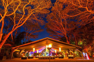 Australie - Cairns - Dîner d'exception et soirée culturelle Flames in the Forest