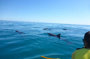 Australie - Rainbow Beach - Excursion Dolphin Kayak - Epic Ocean Adventures 