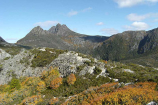 Australie - Tasmanie - Premier Travel Tasmania - Circuit Wildlife & Wilderness encounter