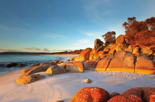 Australie - Tasmanie - Seaton Cove, Bay of Fires © Tourism Tasmania