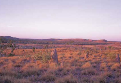 Australie - Queensland - parc national de Lakefield 