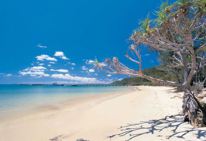 Australie - Découverte de Lady Elliot et Fraser Island en hôtel - Kingfisher Bay Resort