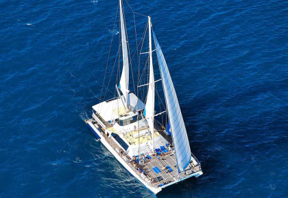 Australie - Queensland - Croisière Ocean Spirit Cruises à Michaelmas Cay