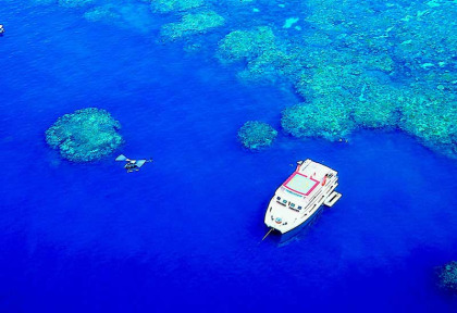 Australie - Cairns - Croisière Reef Encounter