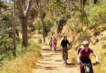 Australie - Adelaide - Escapegoat Adventures - Descente à vélo du Mt Lofty et Cleland Wildlife Park