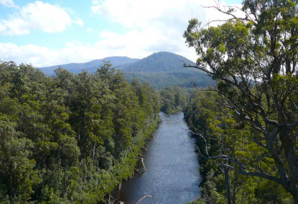 Australie - Tasmanie - Excursion Huon Valley