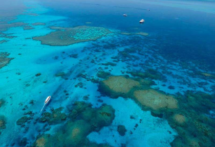 Australie - Kimberley - Odyssey Expeditions - Rowley Shoals