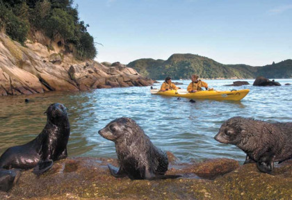 Nouvelle-Zlande - Abel Tasman National Park - Abel Tasman en kayak - merveilles naturelles