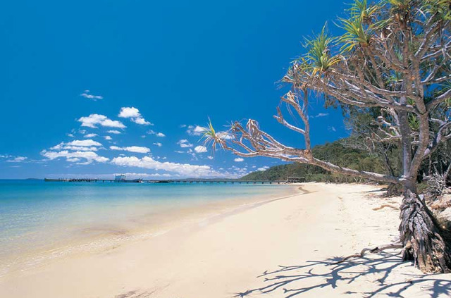 Australie - Découverte de Lady Elliot et Fraser Island en hôtel - Kingfisher Bay Resort