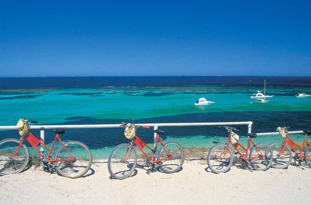 Australie - Western Australia - À vélo sur Rottnest Island