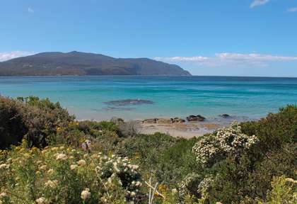 Australie- Tasmanie - Tasman Peninsula - Pirates Bay