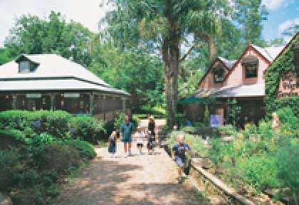 Sunshine Coast - Montville
