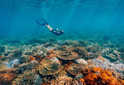 Great Keppel Island