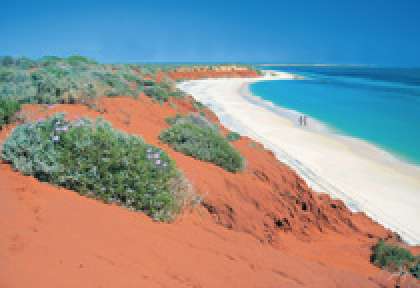 Shark Bay Francois Peron National Park