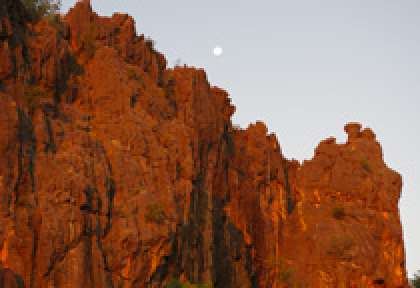 Kimberley Windjana Gorge