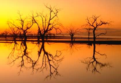new south wales - outback Menindee Lakes