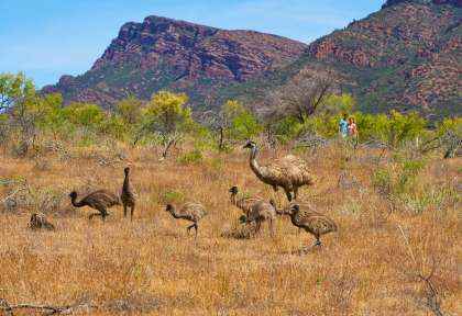 South Australia - Flinders Ranges