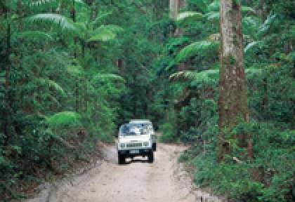 Conduire sur Fraser Island