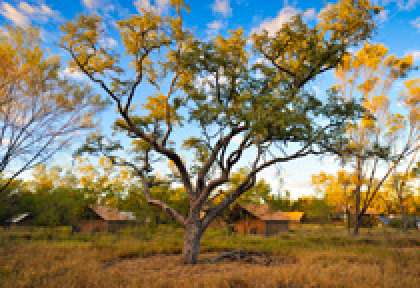 Kimberley Bungle Bungle