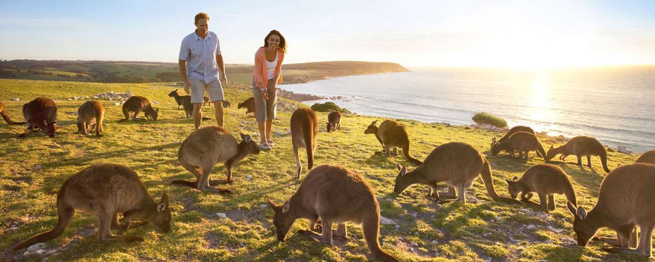 Australie du Sud - Kangaroo Island
