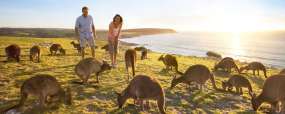 Kangaroo Island