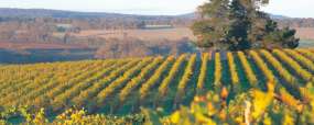 Margaret River